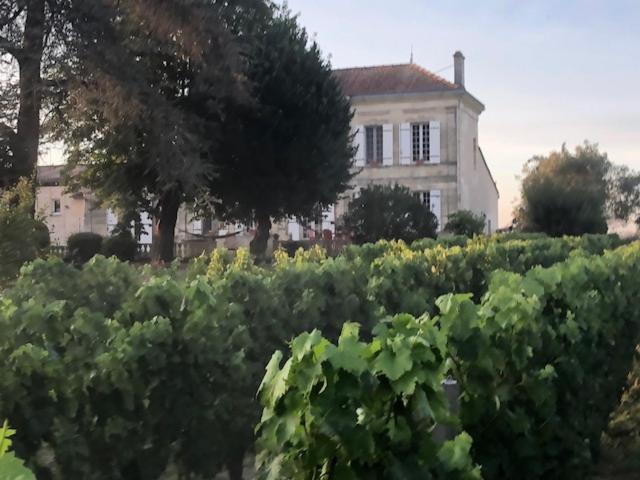 Bed and Breakfast Chateau Couchebout Pugnac Екстер'єр фото